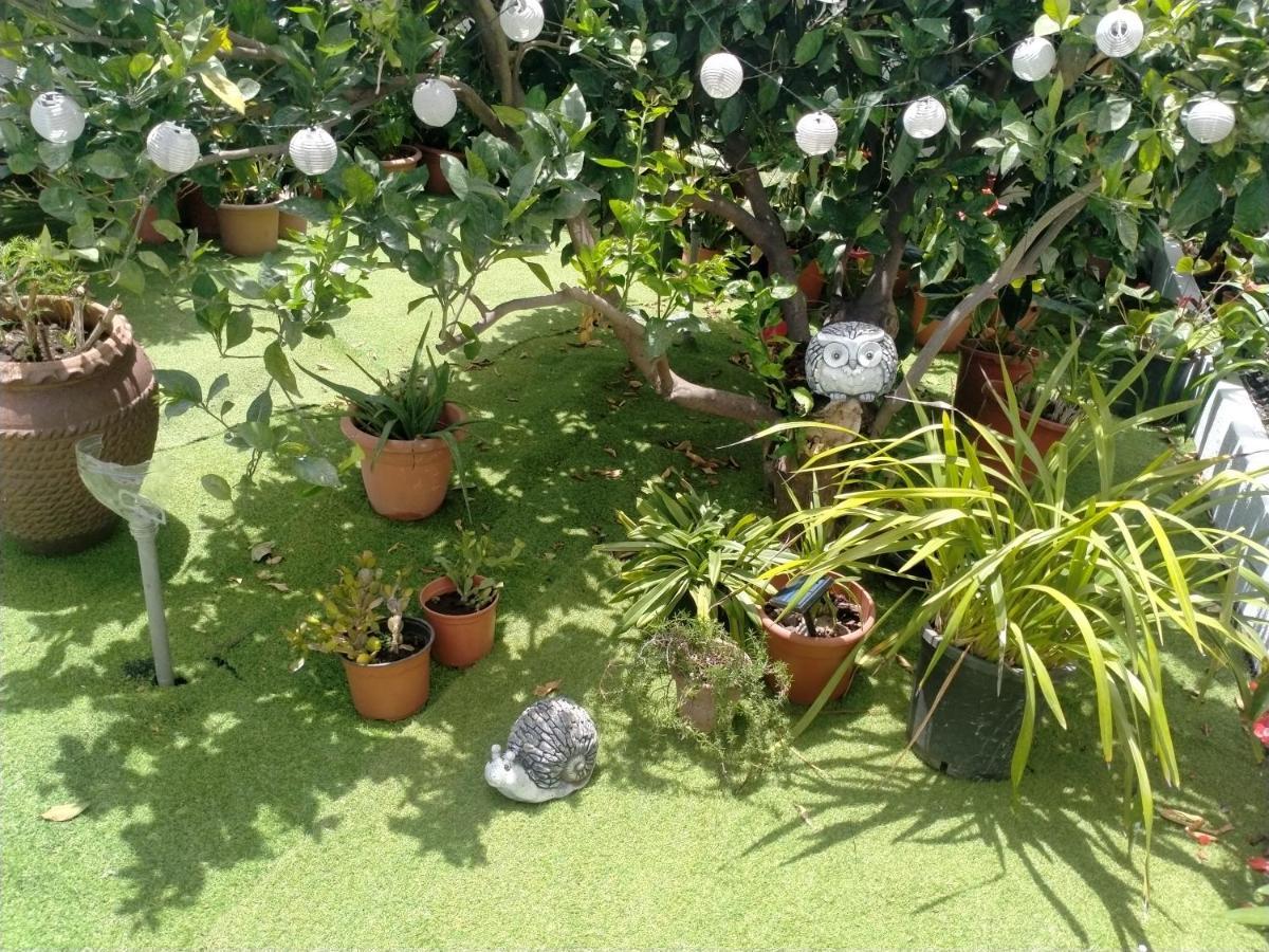 דירות Breña Baja Casa Nine Con Piscina Vacacional La Palma מראה חיצוני תמונה